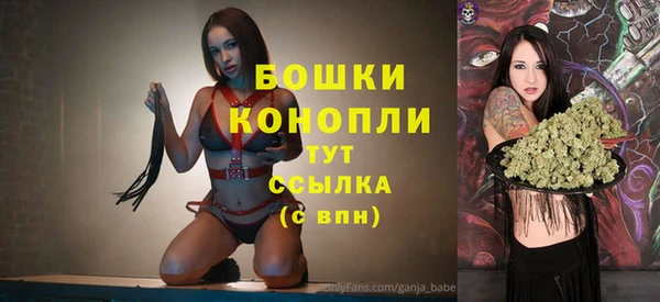 сатива Дмитровск