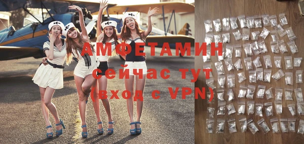 сатива Дмитровск