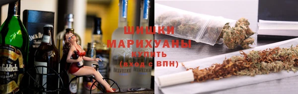 сатива Дмитровск