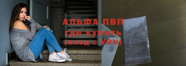 сатива Дмитровск