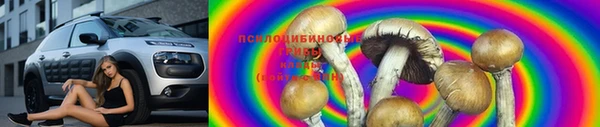 прущие крисы Гусев