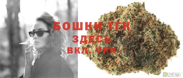 сатива Дмитровск