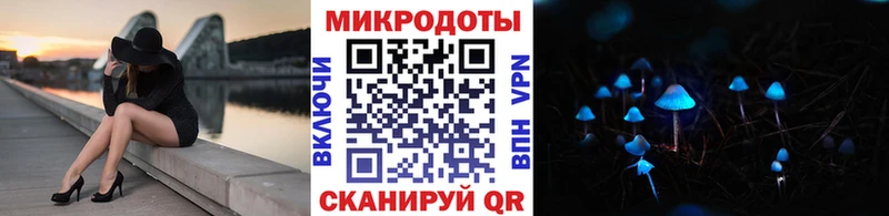 kraken вход  Кадников  Псилоцибиновые грибы прущие грибы 